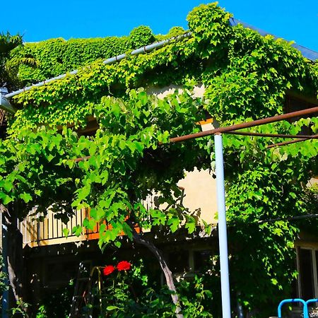 Mtsʼkhetʼa Guest House Green Veranda מראה חיצוני תמונה