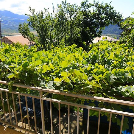 Mtsʼkhetʼa Guest House Green Veranda מראה חיצוני תמונה