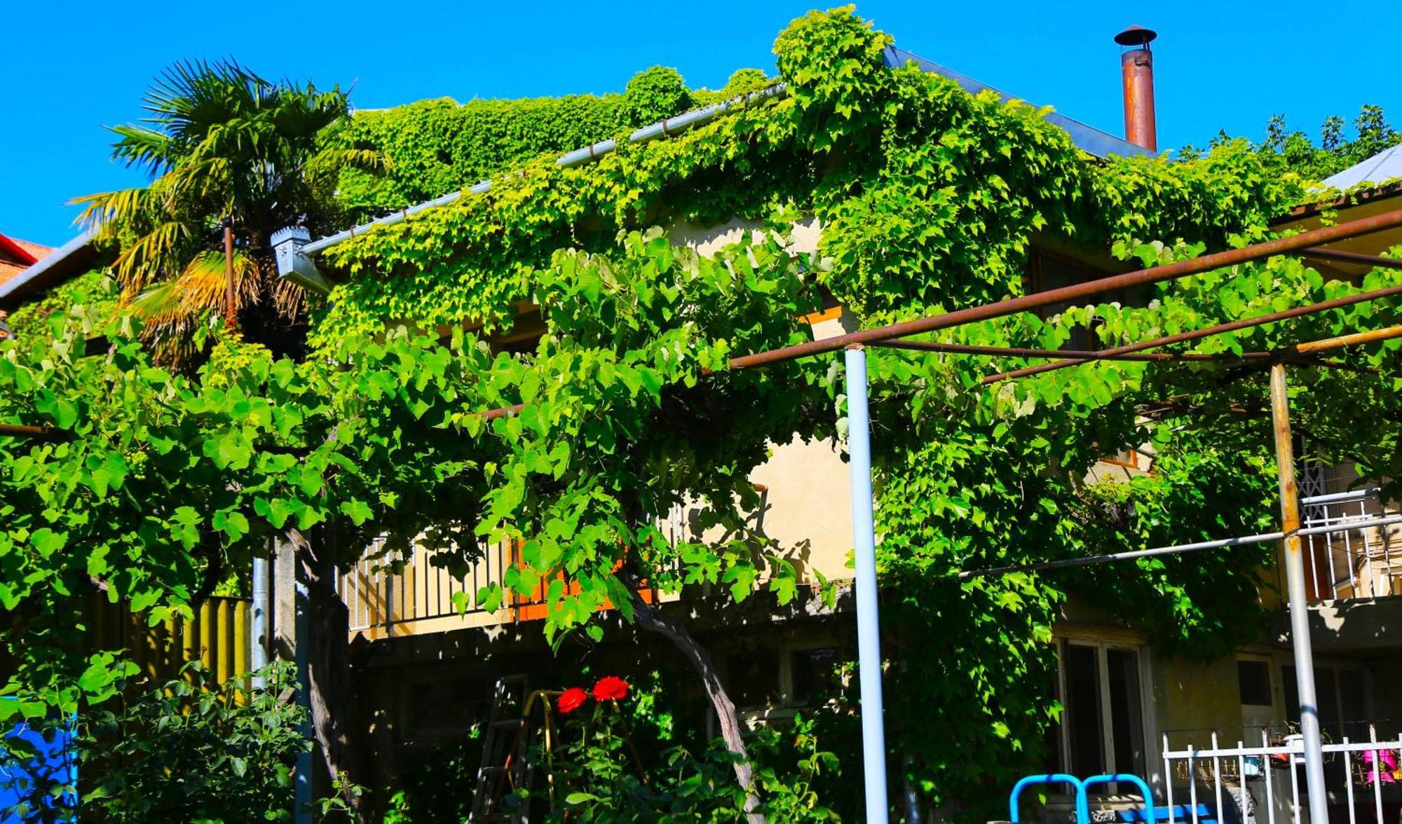 Mtsʼkhetʼa Guest House Green Veranda מראה חיצוני תמונה