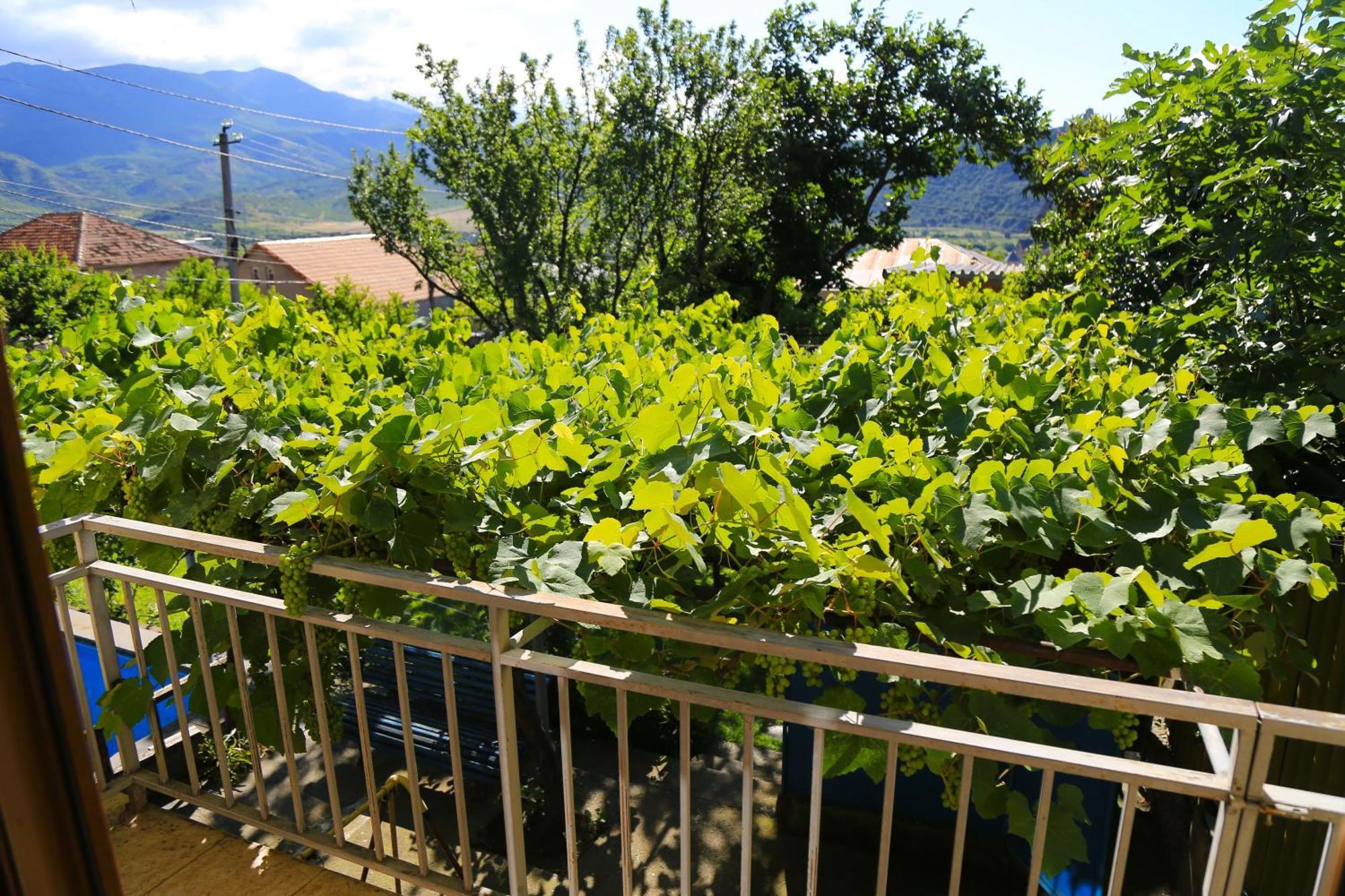 Mtsʼkhetʼa Guest House Green Veranda מראה חיצוני תמונה