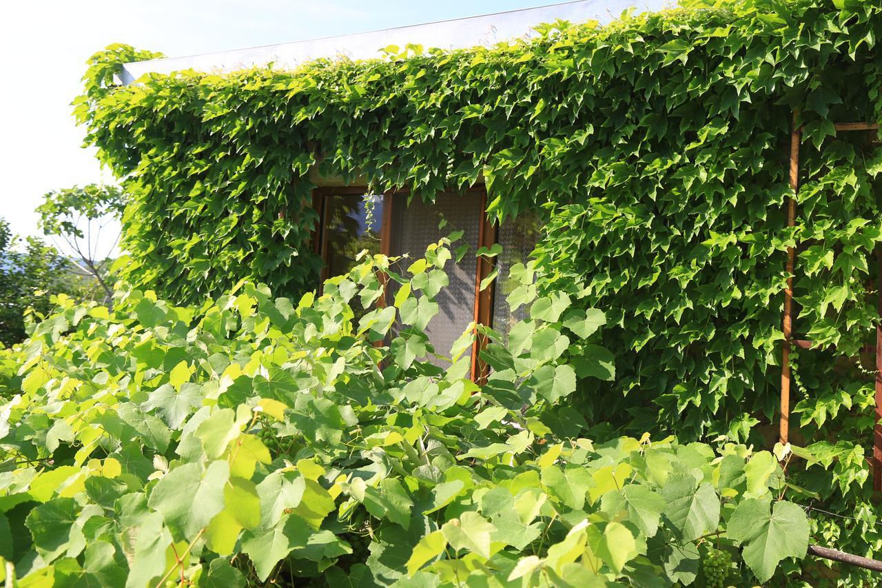 Mtsʼkhetʼa Guest House Green Veranda מראה חיצוני תמונה