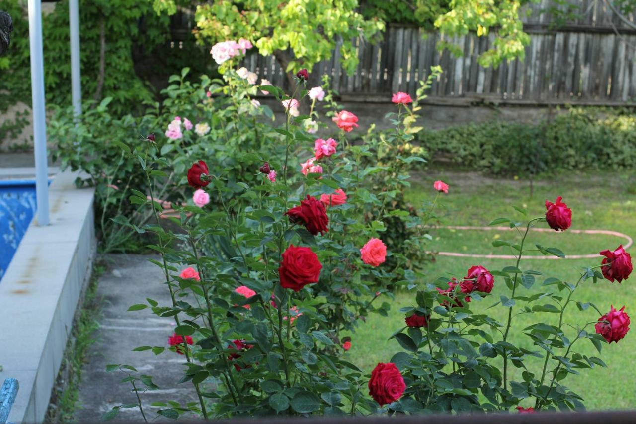 Mtsʼkhetʼa Guest House Green Veranda מראה חיצוני תמונה